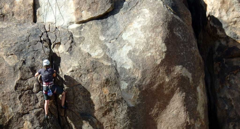 joshua tree rock climbing camp